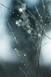 手游名作《魔女之泉3 Re：Fine》11月18日登Steam 支持中文